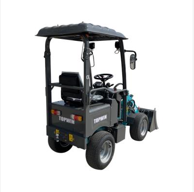 Small Wheel Loader Cat